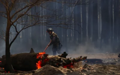 Sequía e incendios en Corrientes: el ministro de Agricultura reconoció que habrá menos carne debido a las pérdidas que sufrió la ganadería