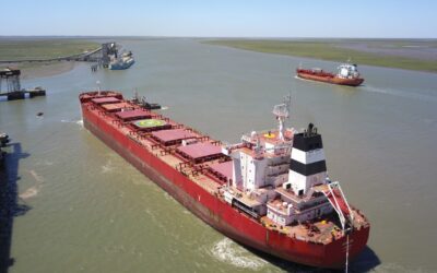 Las oportunidades de exportación que se le abren a la Argentina por la invasión rusa a Ucrania