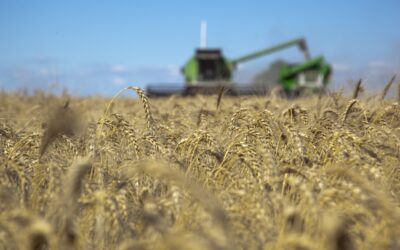 El campo aportó el 57,9% de los dólares por exportaciones durante el año anterior