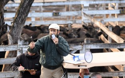 Tras 121 años de actividad, se realizó el último remate en el Mercado de Hacienda de Liniers