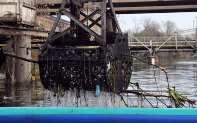 El Banco Mundial invierte US$ 2.200 millones en seguridad hídrica en el país