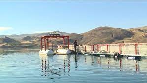 Argentina amplía su zona libre de enfermedades de los salmónidos en Río Negro y Neuquén