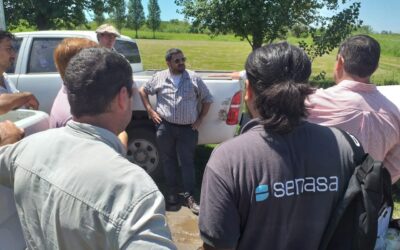 Inicio del monitoreo intensivo tras detección de Diaphorina citri en la provincia de Tucumán