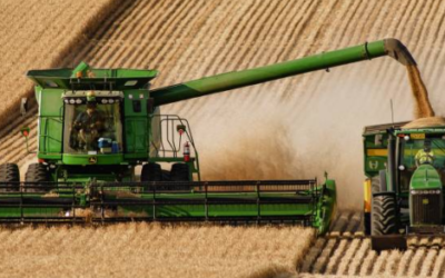 De la siembra a tu bolsillo