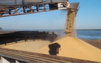 ¿Más derechos de exportación? Añorar el futuro atrapados en el pasado