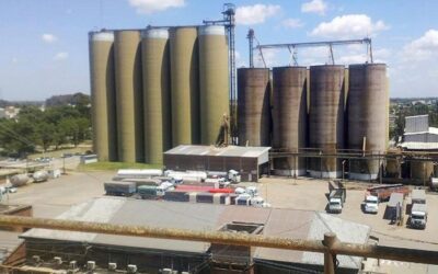 Aplican multa millonaria a molineras por la suba de precios de la harina