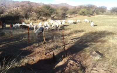 Boyeros solares, energía para el desarrollo productivo de las familias rurales