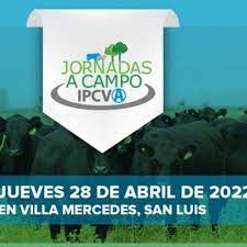 Villa Mercedes, San Luis: ¡El 28 de abril vuelven las jornadas a campo presenciales del IPCVA!
