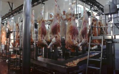 La mayor faena compensó