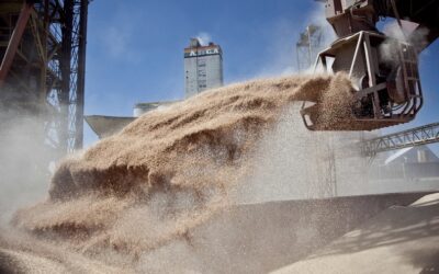 Nueva liquidación récord de los agroexportadores: casi 3.000 millones de dólares en marzo