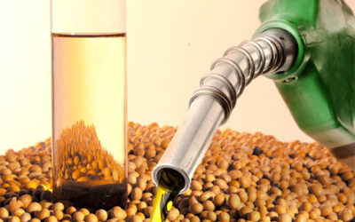 Proponen aumentar el corte de biodiésel para sustituir el gasoil