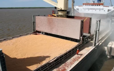 Proyectan que las exportaciones del agro alcanzarán los USD 41.500 millones en 2022 por los buenos precios internacionales