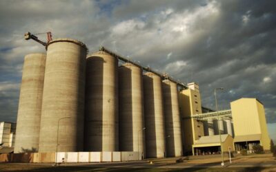 ¿Cuáles son las condiciones comerciales de Maltería Quilmes para los contratos de producción de cebada cervecera 2022/23?