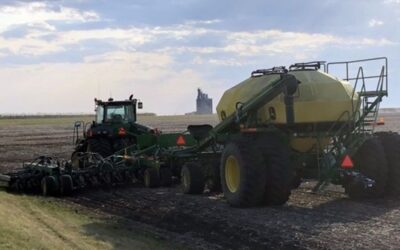 Estados Unidos, con dificultades por el alza en los precios de la soja, el maíz y el trigo