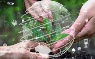Más de 50.000 hectáreas del Gran Chaco serán protagonistas de las buenas prácticas agrícolas y la conservación de bosques