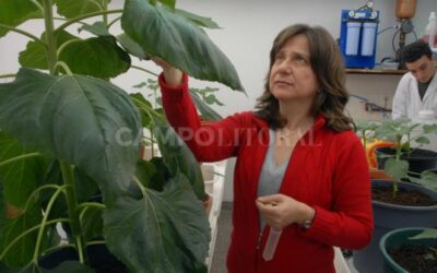 «Con recursos limitados desarrollamos tecnología de punta»