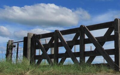 Alquileres rurales más caros: los incrementos rondan los 2qq/ha