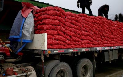 Una nueva estimación privada de la inflación la ubica en 7,3% en marzo