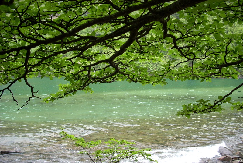 Cambio climático: pautas para adaptarse y mitigar el impacto