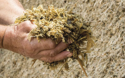 Se conocen los finalistas de la SuperCopa de Forrajes Conservados