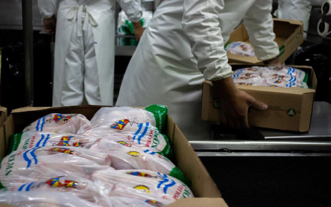 La industria avícola argentina, entre las más sustentables del mercado internacional