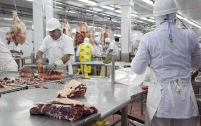 El Gobierno cedió y autorizó subas de precios en cortes populares de carne