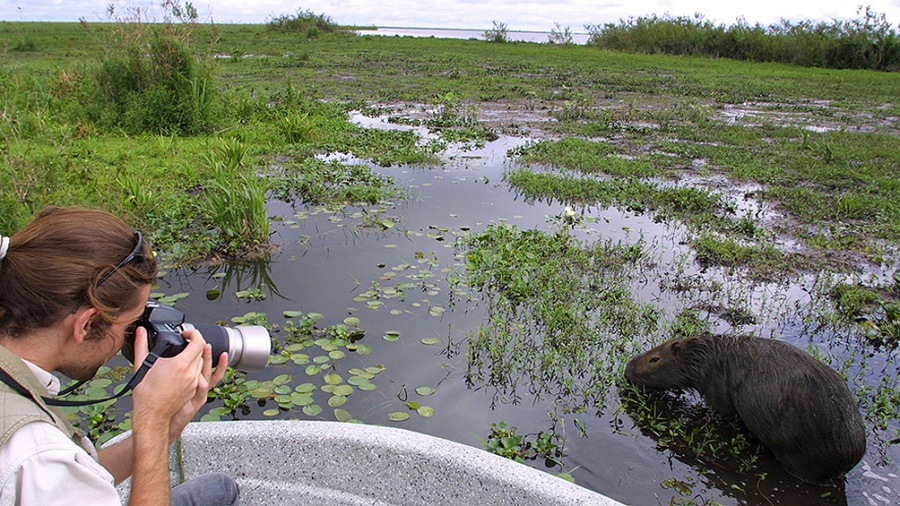 El ecoturismo se posiciona en los Esteros del Iberá, el segundo humedal más grande del mundo
