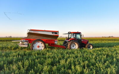 Sorpresa: fertilizar los verdeos volvió a ser buen negocio