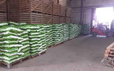 San Luis: Certificación sanitaria para la exportación a Chile de 12.500 kg de papa