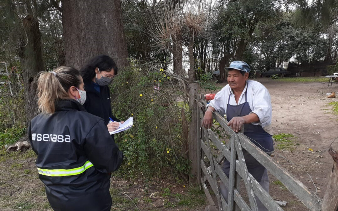Se implementan proyectos territoriales de agricultura familiar en protección vegetal
