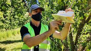 Estadística frutihortícola, pecuaria y agroindustrial de las provincias de Río Negro y Neuquén