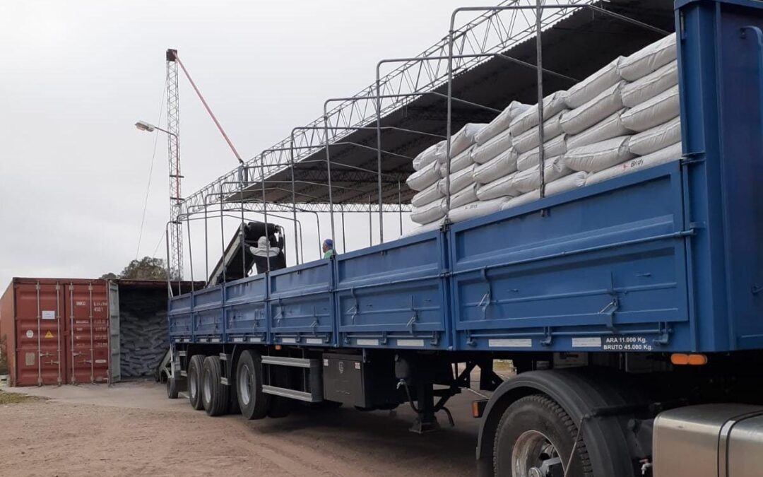 La Pampa: Control a más de 395 toneladas de girasol para exportar a diferentes países