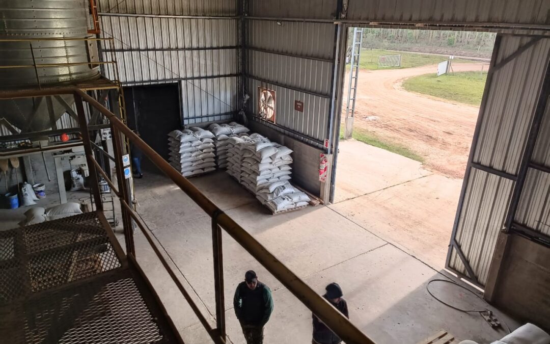 Se evitó uso de premezcla sin documentación para elaborar alimento balanceado para animales