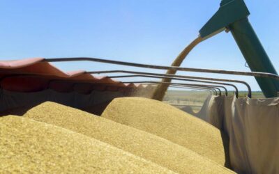 Imparable, el «dólar-soja» aportó casi US$ 500 millones más