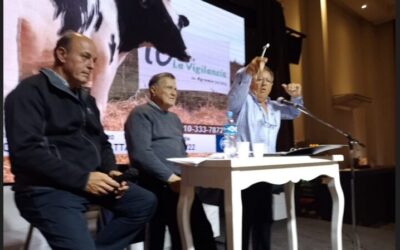 Los precios de vacas y vaquillonas de tambos siguen exhibiendo firmeza