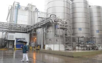 Como los tamberos, la industria láctea tiene renta negativa