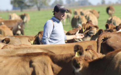 Refugo de vacas: valores que comienzan a afirmar un piso ante un escenario aún incierto