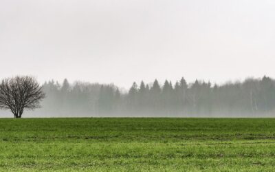 Los festejos de Reyes transcurrirán con moderado calor, seguido por lluvias de variada intensidad