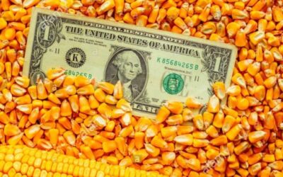 Récord exportador a Estados Unidos en 2025