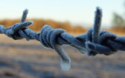 Heladas y sequía: las zonas donde más se sintió la ola de frío y las que tienen esperanza de lluvias