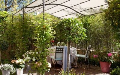 Tips infalibles para tener un jardín de revista