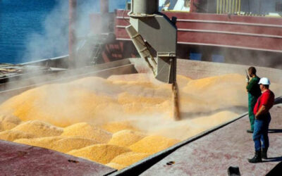 El agro sigue aportando divisas al país en medio de la crisis de importaciones