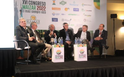 ¿Qué hacen las cuatro provincias que producen el 80% del maíz argentino para estimular la bioeconomía?