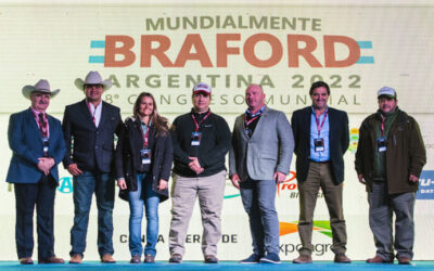 El buen momento del Braford argentino ante los ojos del mundo