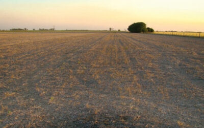 ¿Se extiende unos meses más?: “La Niña persiste tenazmente”