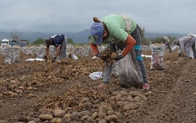 La AFIP suma controles para evitar abusos laborales en la producción agropecuaria