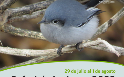 Fundación Vida Silvestre Argentina invita a participar del Safari de Invierno, el nuevo evento de ciencia ciudadana.