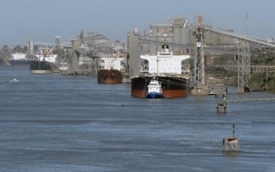 Sequía de negocios: balance del comercio de granos en el primer semestre