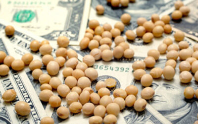 “Dólar Agro”, la medida que tendría en estudio el gobierno nacional pero cuyo tratamiento niega