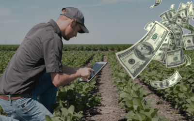 Alberto: no hay tanta soja, se te va a escapar el dólar